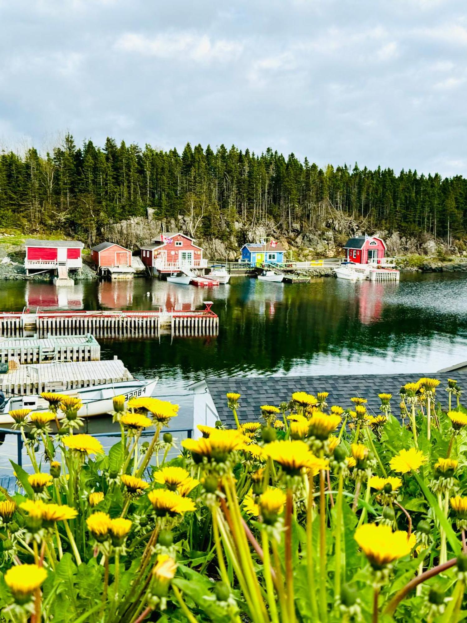 The View And Breakfast In Triton, Newfoundland Pilley's Island